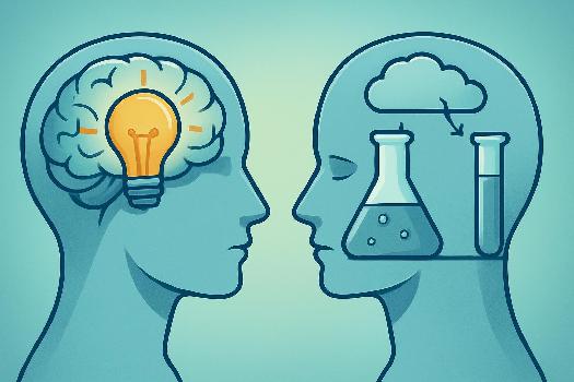 Experience vs Expérience : Démystification d'un Faux Ami Fréquent