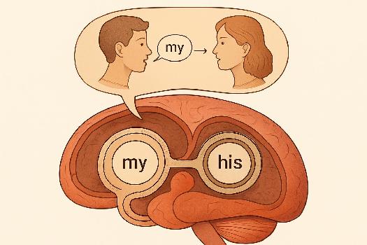 Le Discours Indirect : Transformer les Pronoms et Adjectifs Possessifs