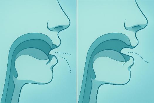 Perfectionnement des liaisons en anglais