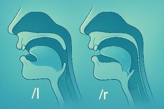 Prononciation Anglaise: Défi Relevé des Sons /l/ et /r/