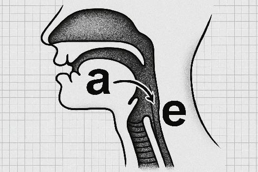 La Liaison Vocalique en Espagnol : Un Guide Complet