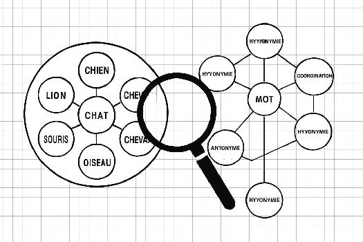 Explorer les Champs Lexicaux et les Réseaux Sémantiques en Français