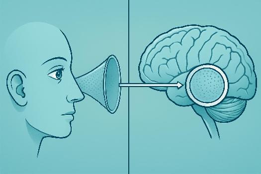 La Perception : Une Source de Vérité ?