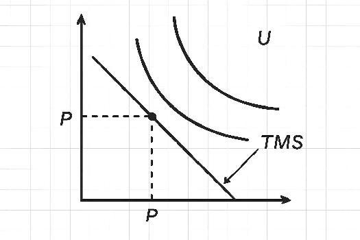 Le consommateur rationnel et la maximisation de l'utilité